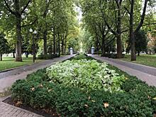 В начале недели в Краснодаре и крае ожидается дождливая погода, температура воздуха понизится