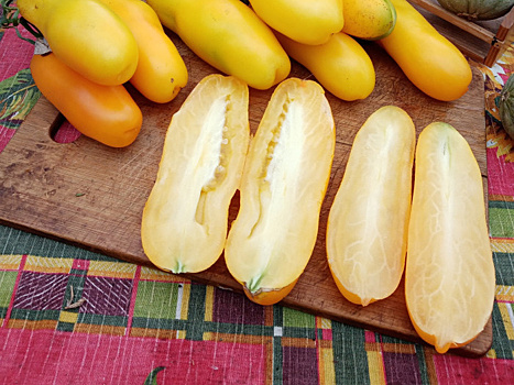 Как мы в Сибири выращиваем бананы в теплице