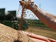 Россия, Турция и ООН подписали соглашение о вывозе украинского зерна