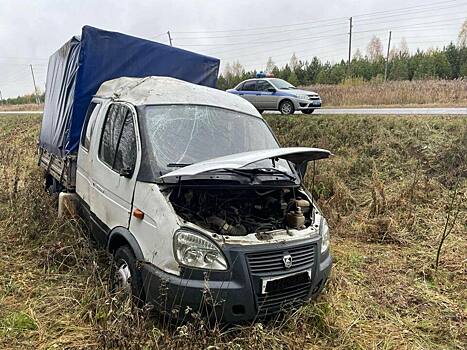 В Немском районе водитель «ГАЗели» сбил лося