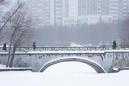 В Москве за два дня выпало до пяти сантиметров снега
