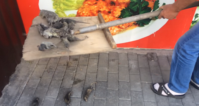 «Дело крыс» на челябинском рынке расследует Роспотребнадзор