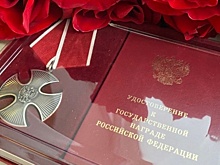 Родственникам двух погибших в СВО солдат вручили ордена Мужества