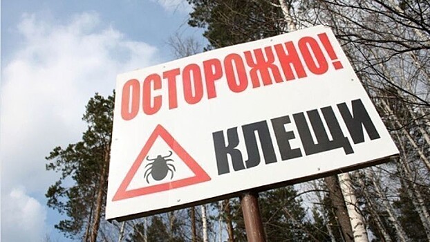 В Кировской области клещи покусали 412 человек: есть заражённый