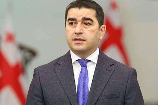 Папуашвили заявил, что Грузия не допустит обхода международных санкций рейсами с Россией