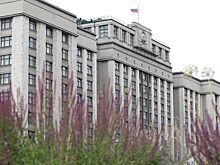 Госдума приняла закон о запрете трэш-стримов в России