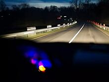 На федеральной трассе рядом с Гвардейском легковушки влетели в лося, который выбежал на дорогу