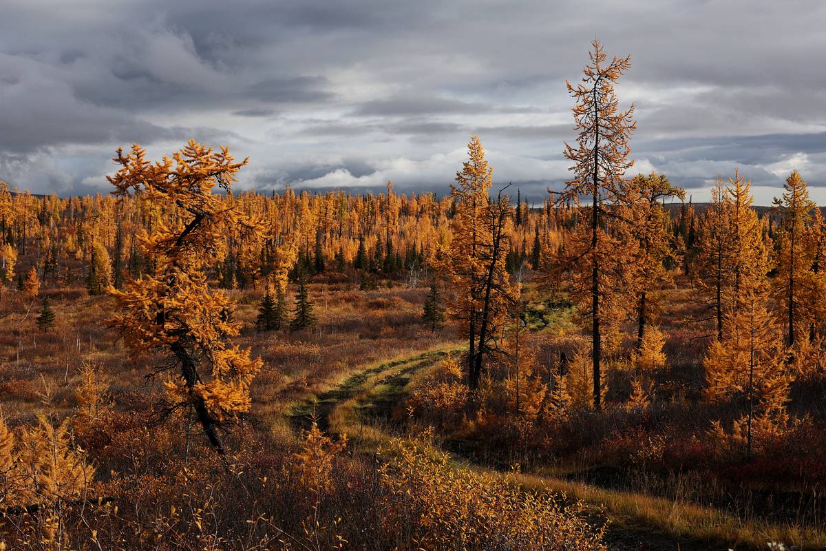 Россиянам рассказали о погоде в октябре