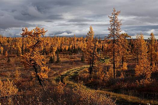 Россиянам рассказали о погоде в октябре