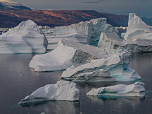 Названы необычные последствия употребления кешью
