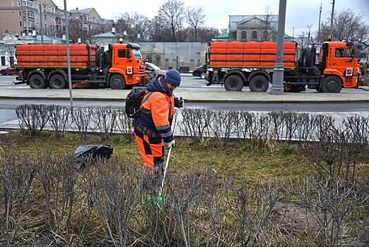 Власти объяснили неприличные клумбы в Москве