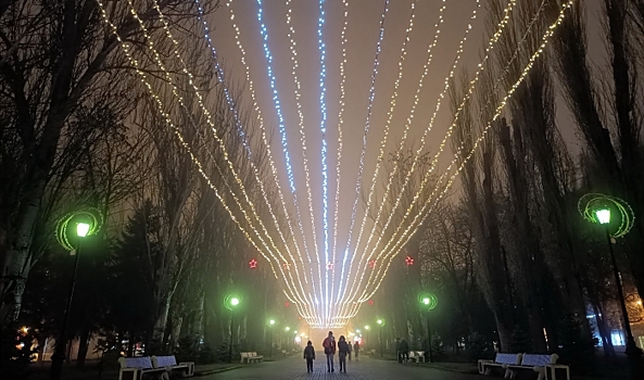 В Волгограде предложили сделать дополнительное освещение на Аллее Героев