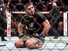 «Он просто невероятен». Иан Гарри высказался об Исламе Махачеве