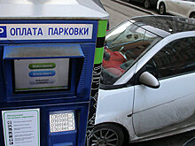 В Москве установят дополнительные паркоматы