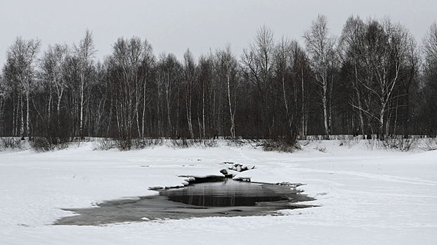 Пропавшая 2 недели назад пенсионерка утонула в Воронежском водохранилище