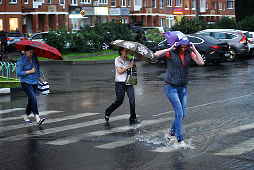 Жителей Московского региона предупредили о сильном ветре, грозе и дожде до 16 мая