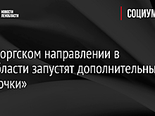 В Выборгском направлении в Ленобласти запустят дополнительные «Ласточки»