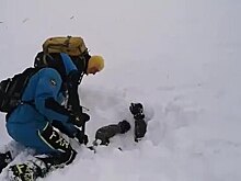 Попавшего под лавину во время катания на снегоходе туриста сняли на видео
