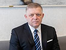 Фицо ответил на критику своего визита в Москву