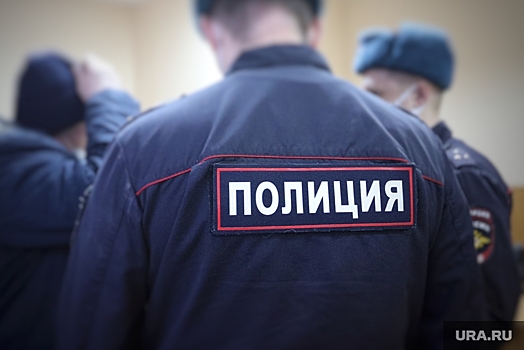 Силовики провели проверки в квартирах экс-активистов пермского «Мемориала»*
