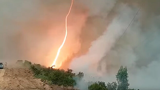 Огненное торнадо выжигает лес в Португалии: видео