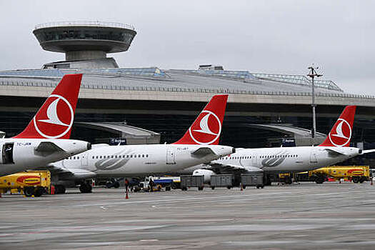 Росавиация: в РФ разбираются с причинами неперевозки багажа Turkish Airlines