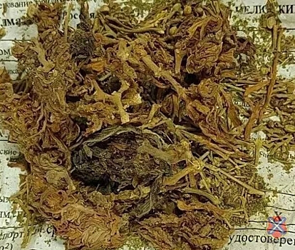 В Волгоградской области полиция задержала подозреваемого в хранении наркотиков