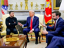Депутат Шеремет назвал поведение Зеленского на встрече с Трампом позором Украины