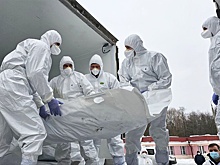 Россия и Украина провели обмен телами погибших военных