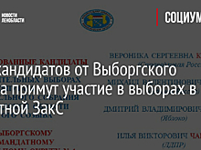 Пять кандидатов от Выборгского района примут участие в выборах в областной ЗакС
