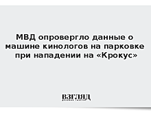 МВД опровергло данные о машине кинологов на парковке при нападении на «Крокус»