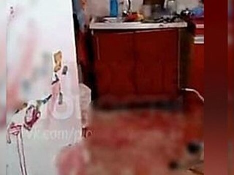 В Башкирии бойцовские собаки насмерть загрызли 24-летнего парня