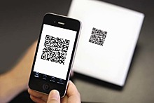 Красноярское правительство в ноябре намерено ввести QR-коды для посещения театров и матчей