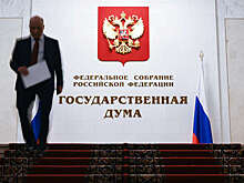 Депутаты ГД встретятся с представителем Европарламента от Люксембурга 26 мая
