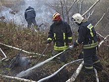 Почти 20 пожаров произошло в Подмосковье за минувшие сутки