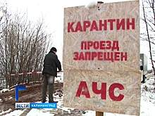 В Калининградской области зафиксировано 15 случаев обнаружения АЧС