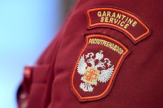 Роспотребнадзор назвал незаконной отмену заказов Ozon из-за сбоя