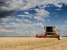 В 2020 году Росагролизинг поставил технику на 2 млрд рублей членам АККОР