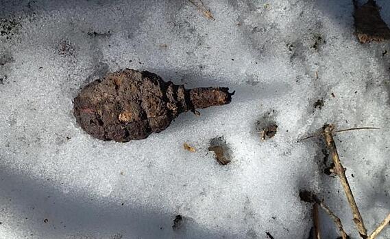 В Курской области обнаружили гранату времен войны