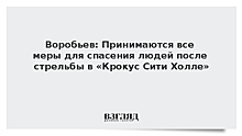 Воробьев: Принимаются все меры для спасения людей после стрельбы в «Крокус Сити Холле»