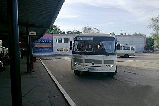 Жители Хабаровска снова могут ездить на левый берег Амура в ЕАО на рейсовом автобусе