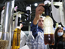 Эксперт оценил планы ограничить продажу пива и сидра для ИП