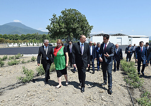 Президент Ильхам Алиев – в Загатальском и Гахском районах