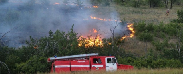 Лесничества Волгоградской области оказались не готовы к пожароопасному сезону