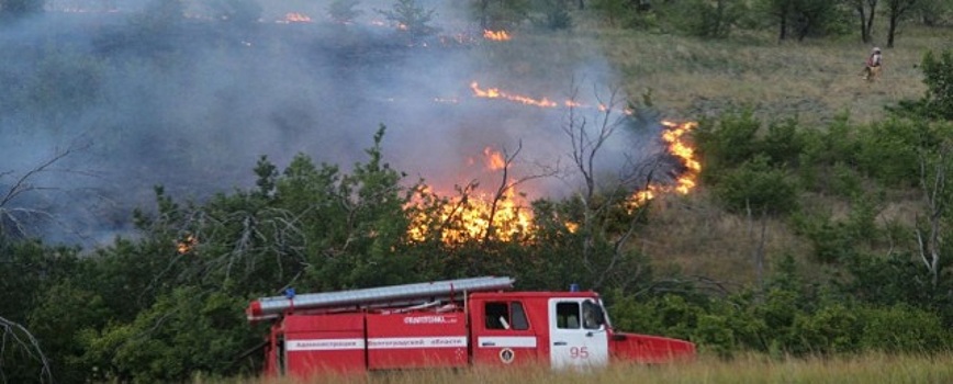 Лесничества Волгоградской области оказались не готовы к пожароопасному сезону