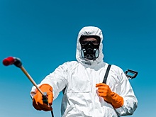 Дезинфектолог назвал лучший способ борьбы с тараканами