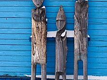 Йети приморской тайги