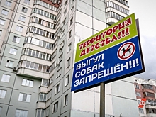 В Свердловской области власти против убийства бездомных собак