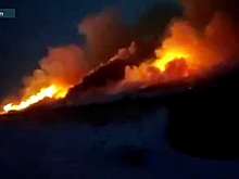 Более 33 тысяч птиц погибли в пожаре на российской птицефабрике