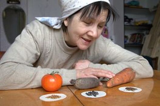 Зачем в Волгограде собираются праздновать День дарения семян?